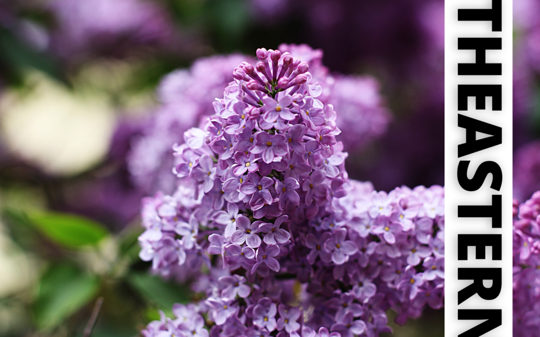 May 2025 Newsletter